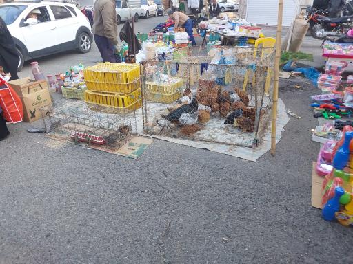 عکس یکشنبه بازار رودسر