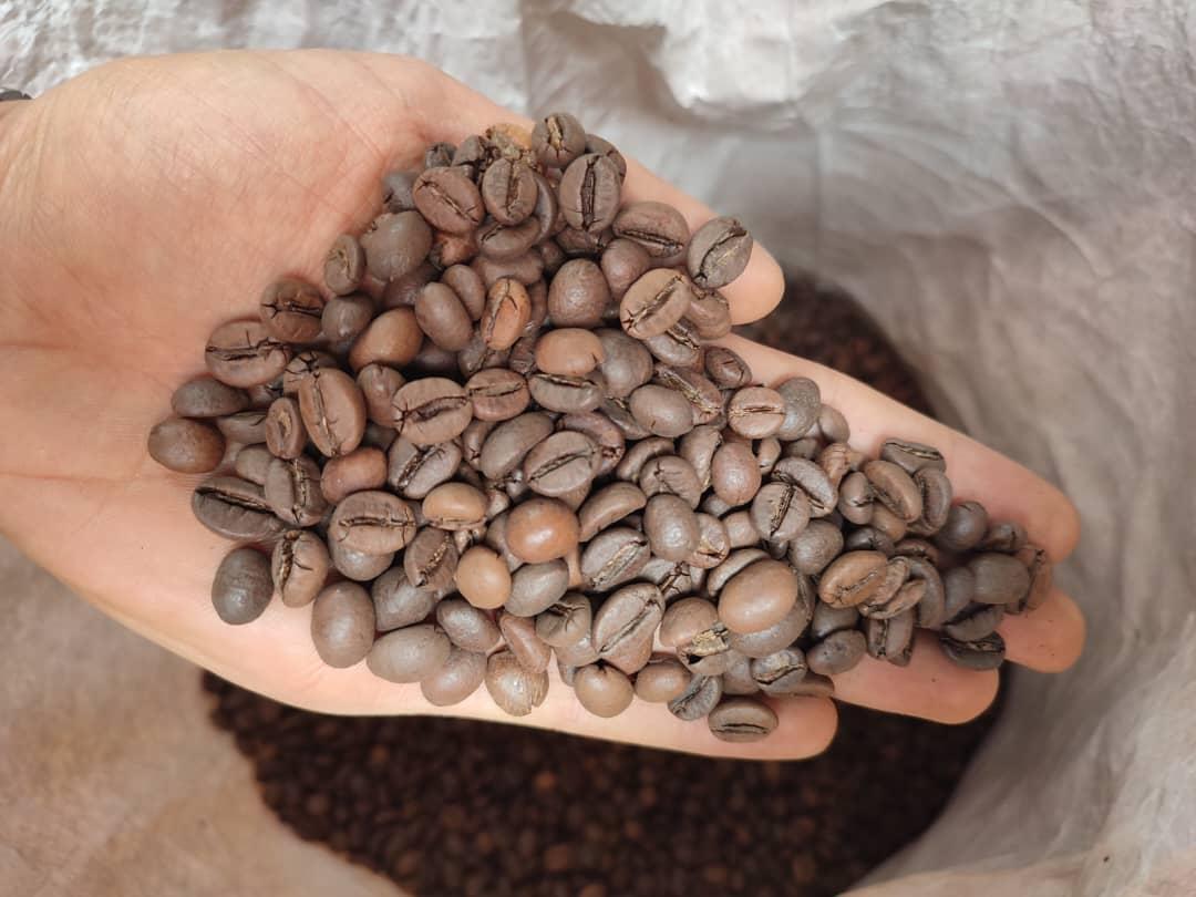 عکس پخش قهوه اسدی