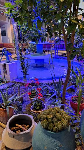 عکس رستوران شبهای کویر