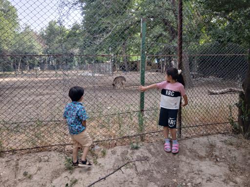 عکس باغ فدک بروجرد