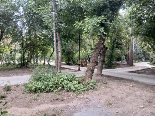 عکس باغ فدک بروجرد