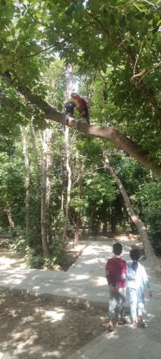 عکس باغ فدک بروجرد