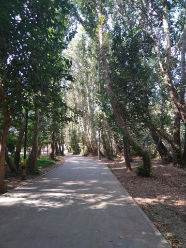 عکس باغ فدک بروجرد