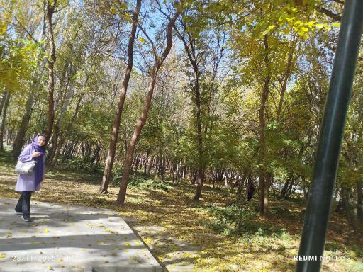 عکس باغ فدک بروجرد