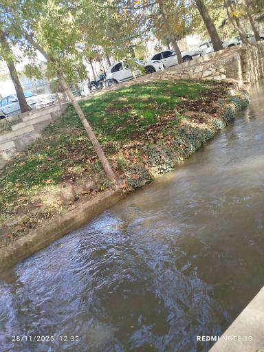 عکس باغ فدک بروجرد