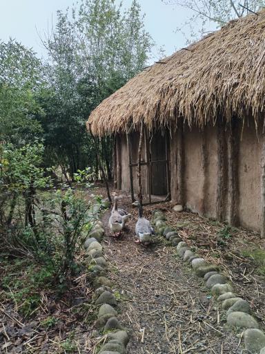 عکس موزه میراث روستایی گیلان