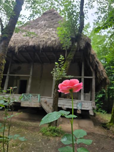 عکس موزه میراث روستایی گیلان