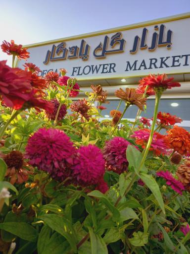عکس بازار گل یادگار ( فرخی)