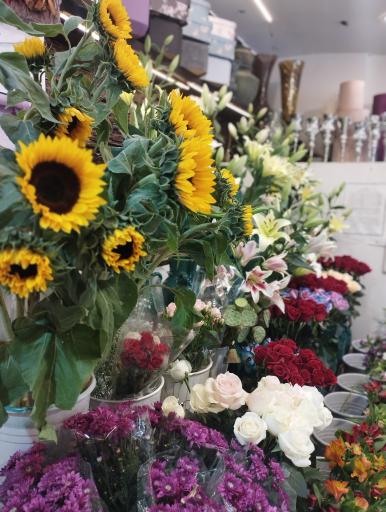 عکس گلفروشی چنچنه 