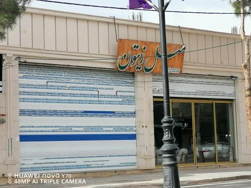 عکس مبلمان زیتون