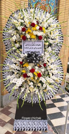 عکس گلکده چیچک