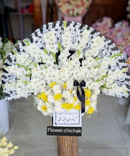 عکس گلکده چیچک