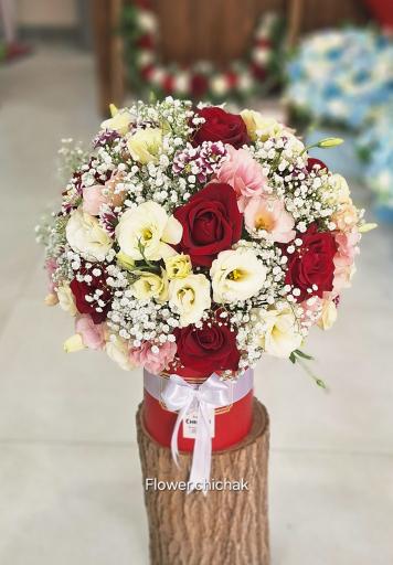 عکس گلکده چیچک