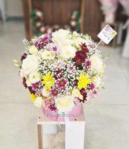 عکس گلکده چیچک