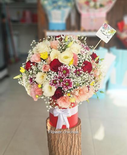 عکس گلکده چیچک