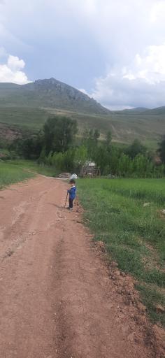 عکس جلوگیر