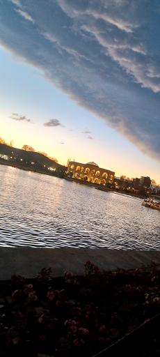 عکس پارک ائل گلی