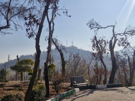 عکس پارک ائل گلی