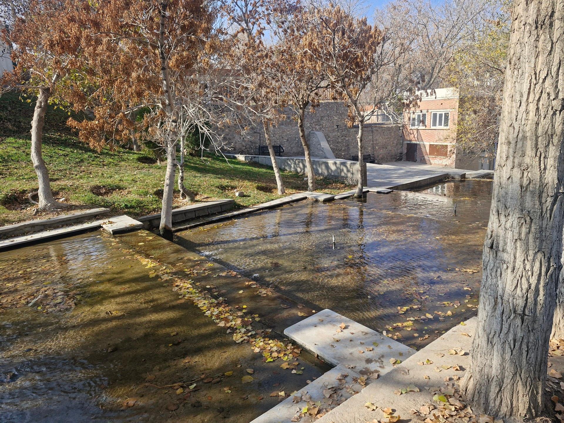 عکس پارک ائل گلی