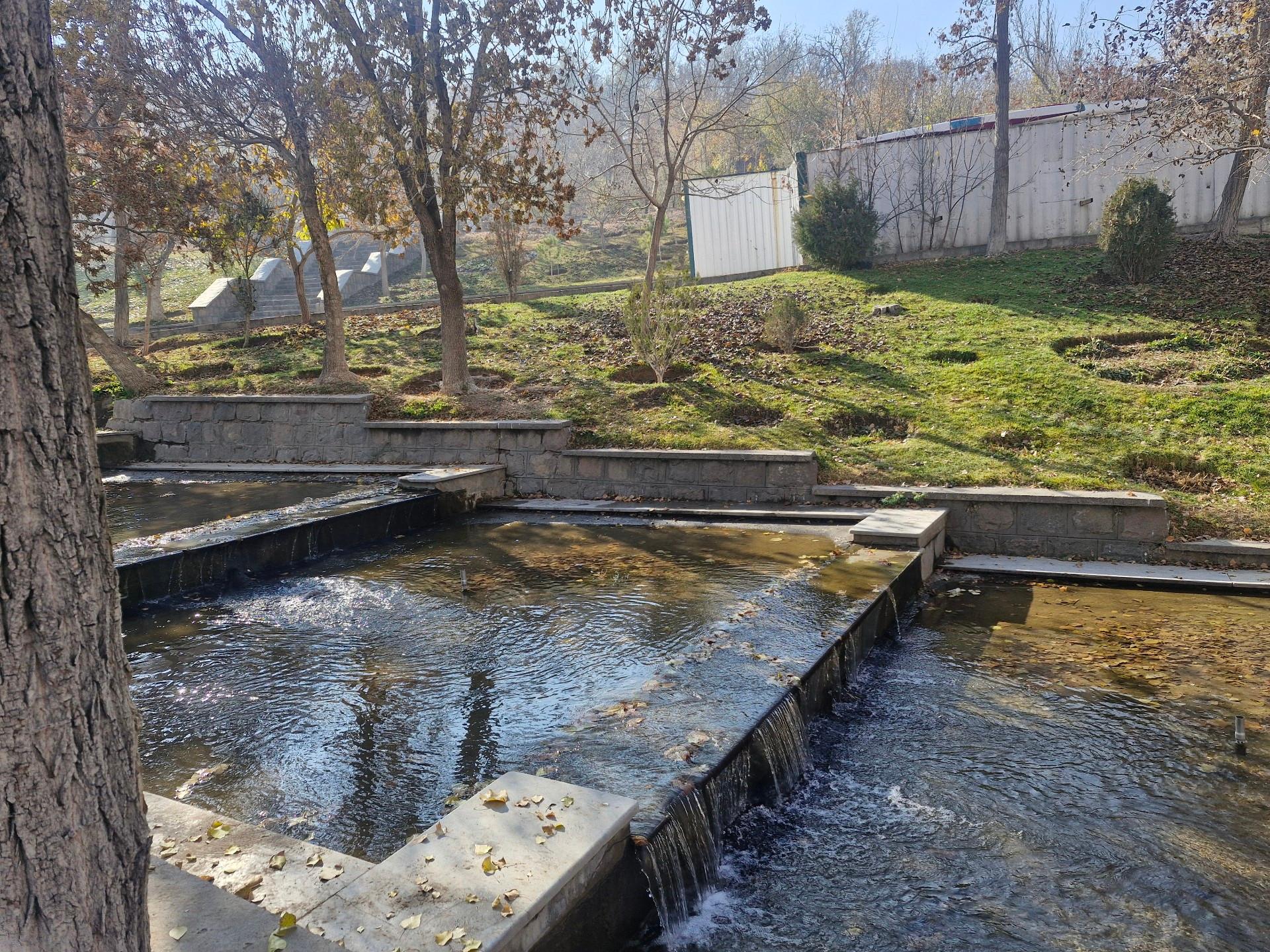 عکس پارک ائل گلی