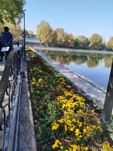 عکس پارک ائل گلی