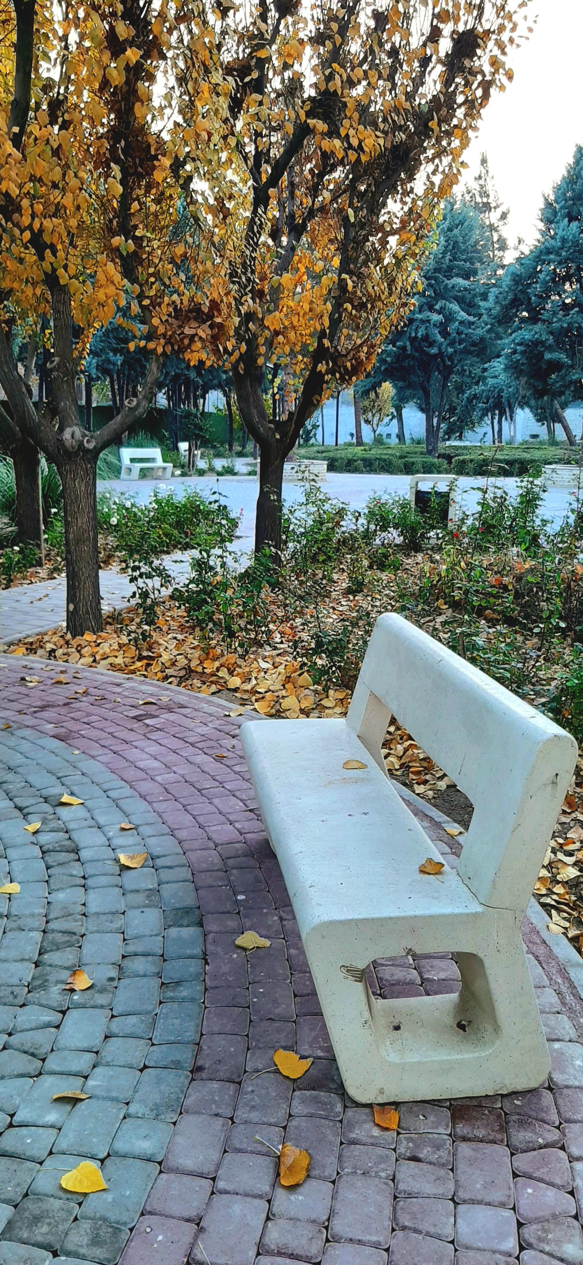 عکس بوستان صلاة 