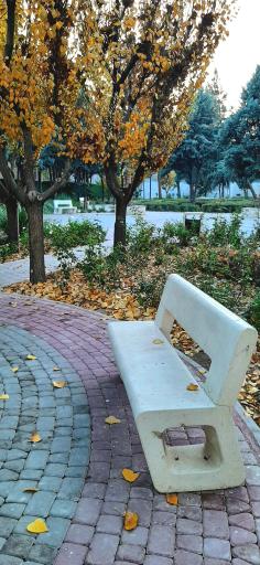 عکس بوستان صلاة 