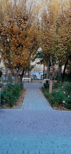 عکس بوستان صلاة 