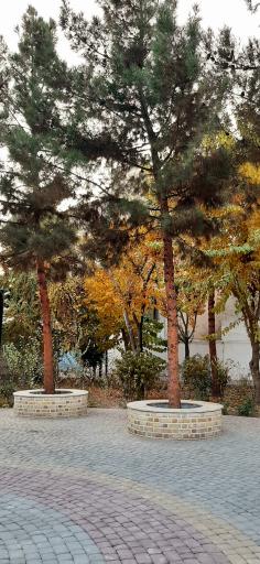 عکس بوستان صلاة 