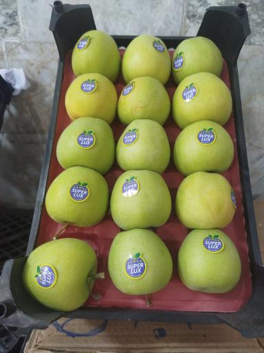 میوه فروشی سورنا