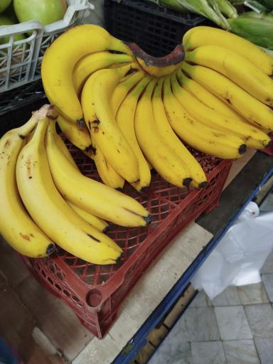 میوه فروشی سورنا