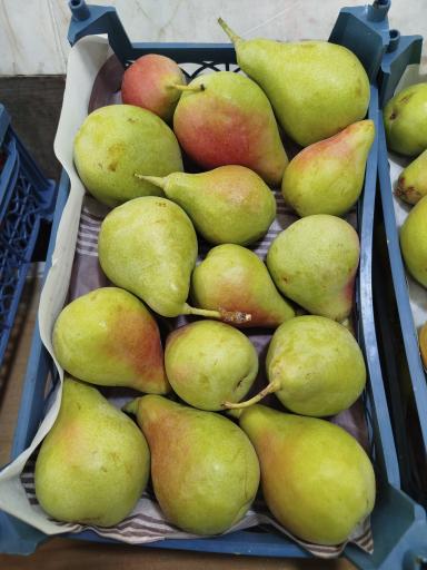 عکس میوه فروشی سورنا