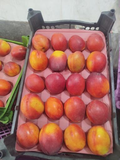 عکس میوه فروشی سورنا