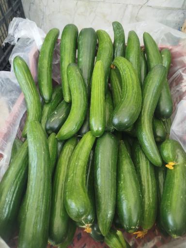 میوه فروشی سورنا