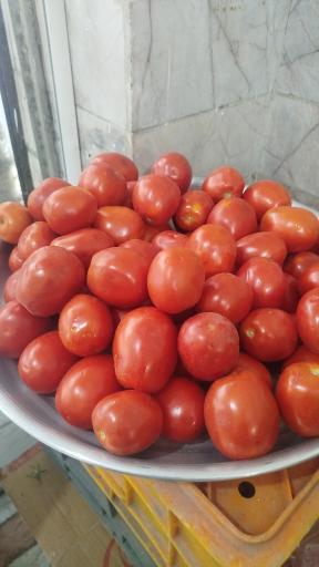 میوه فروشی سورنا