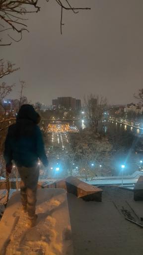 عکس پارک ائل گلی