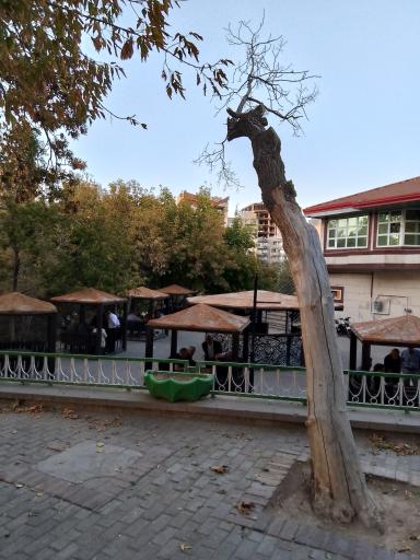 عکس پارک ائل گلی