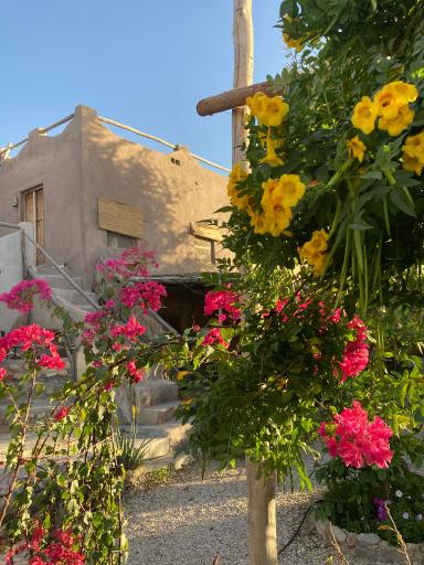 عکس اقامتگاه بومگردی نصوری سیراف