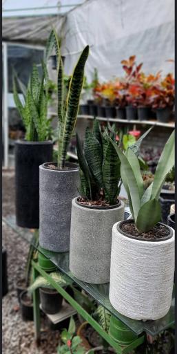 عکس دهکده گل و گیاه چیچک