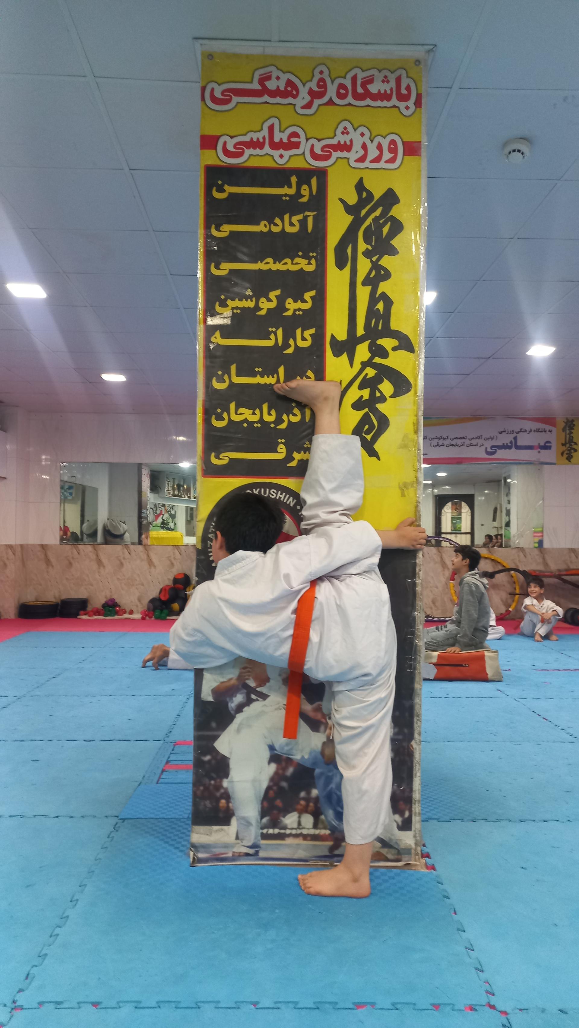 عکس باشگاه فرهنگی ورزشی عباسی