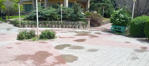 عکس میدان عشق