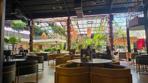 عکس  رستوران کوکونا