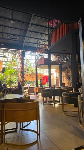 عکس  رستوران کوکونا