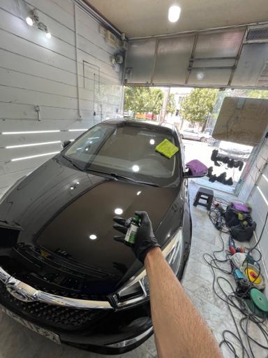 عکس ونوس دیتیلینگ