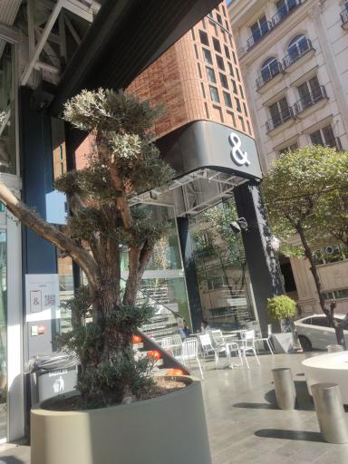 عکس کای کافه ولنجک