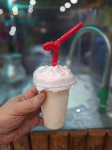 خانه کباب لرستان