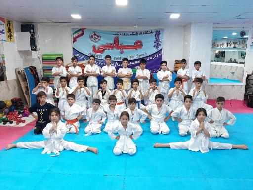 باشگاه فرهنگی ورزشی عباسی