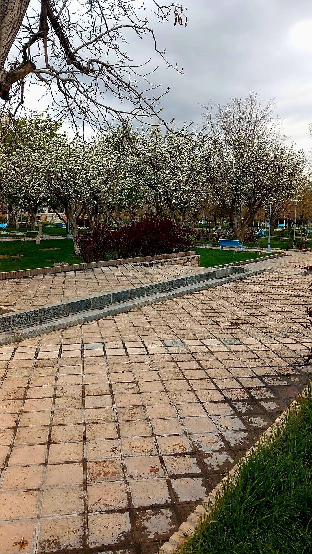 عکس باغ ایرانی