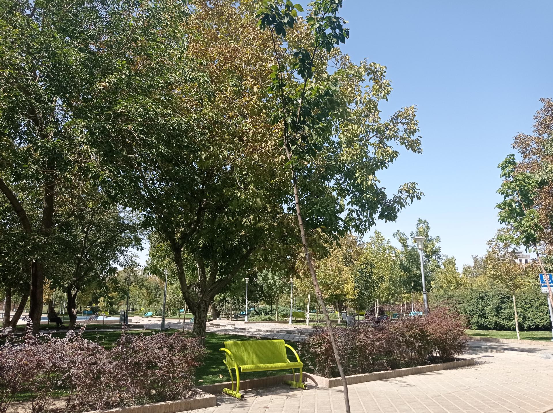 عکس باغ ایرانی