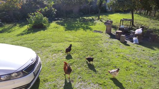 عکس ویلا و اقامتگاه شریفی